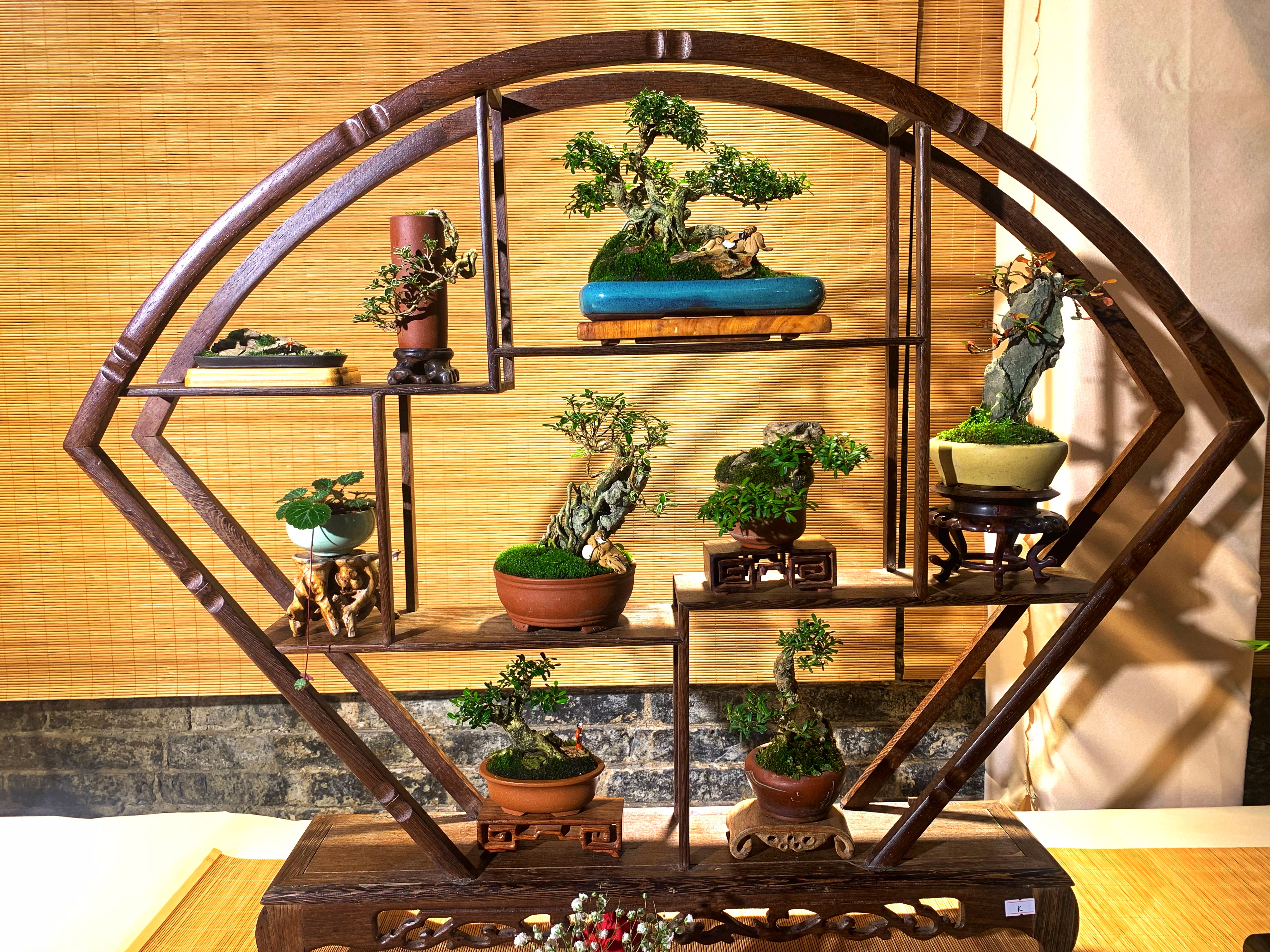 2021黔派小品盆景精品展盛大开幕