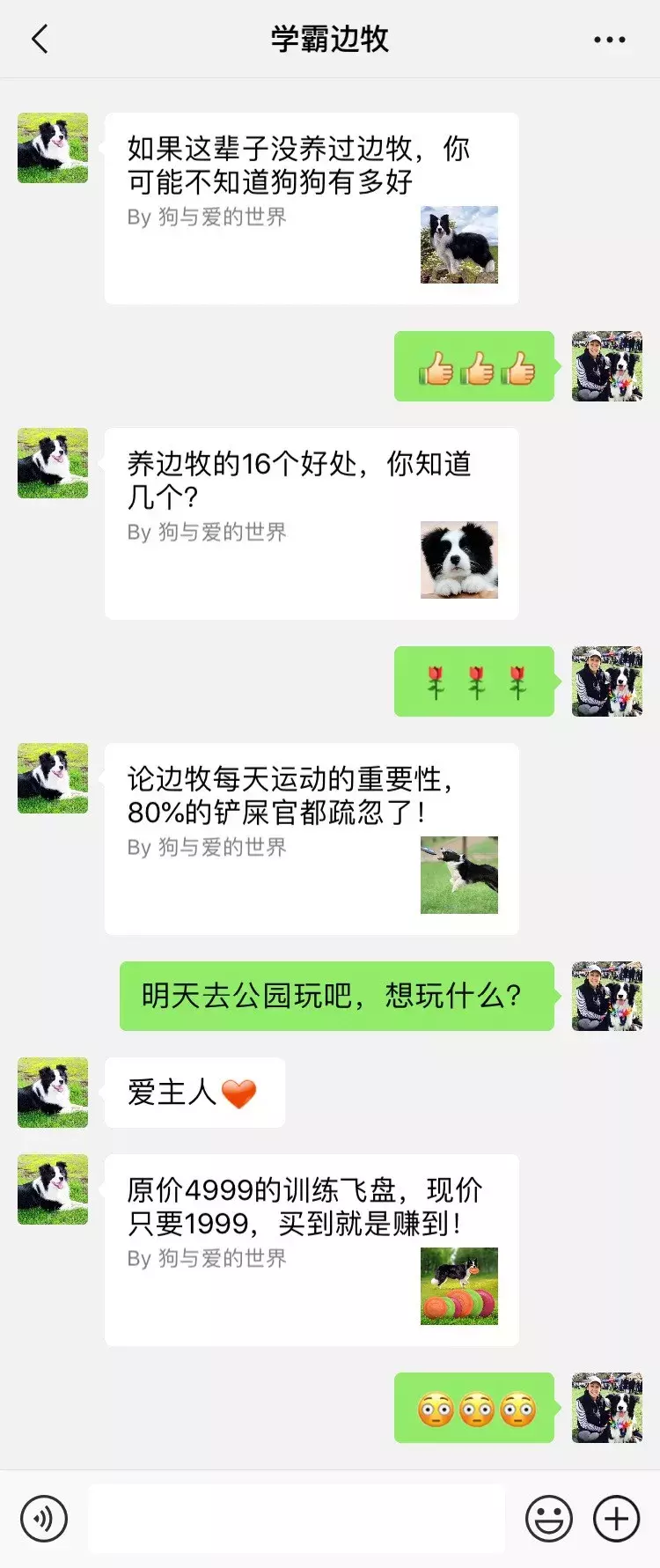 笑屎了！這些狗狗的聊天記錄，承包了我一周的笑點