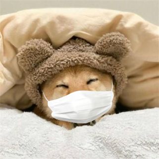 2020 Valentine's Days, during segregation how are we had sweet " is epidemic disease ground loved " ? 