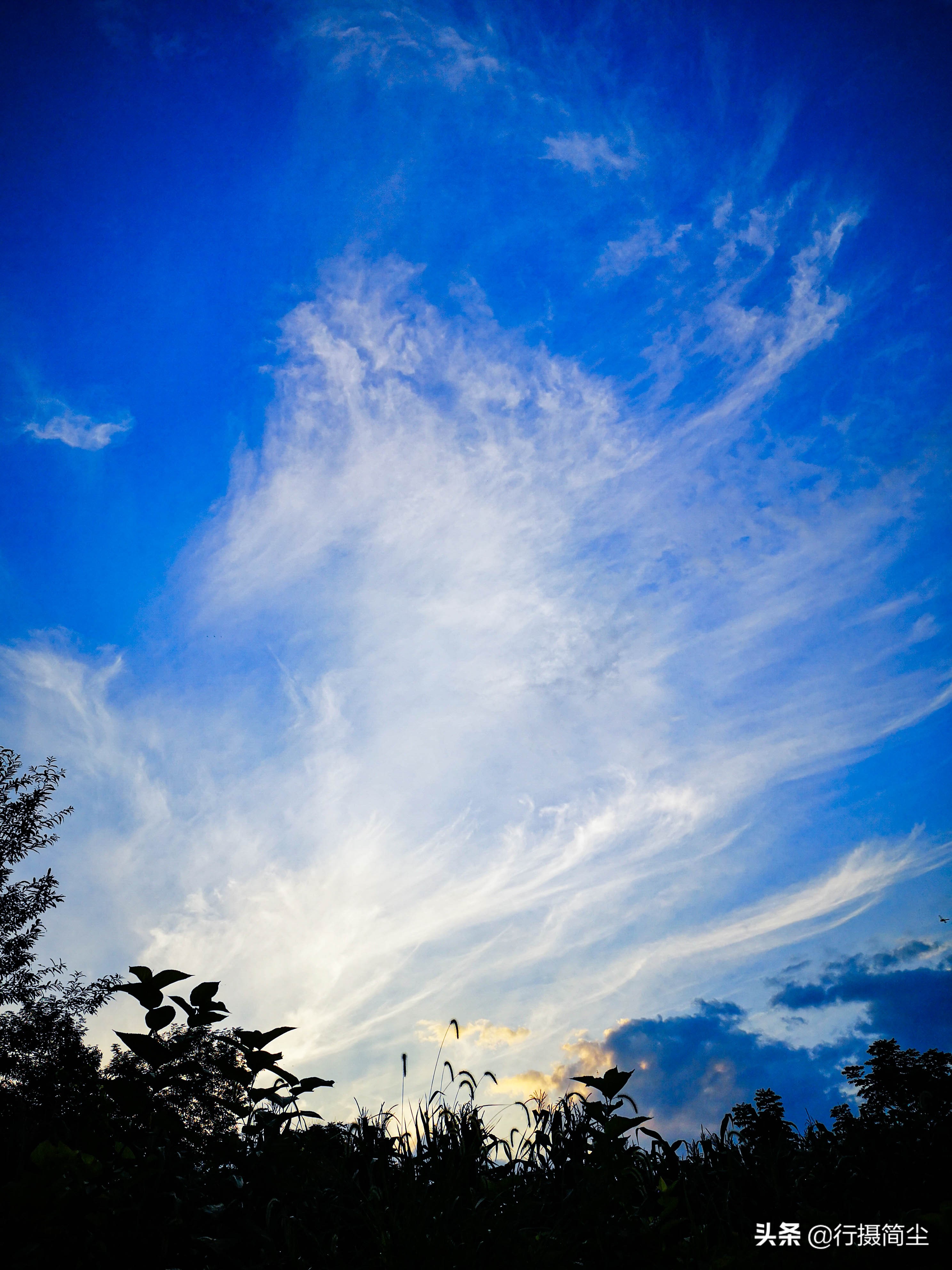 鄉野仲夏即景 晨光飛鳳舞 落霞散綺麗 行攝簡塵 Mdeditor