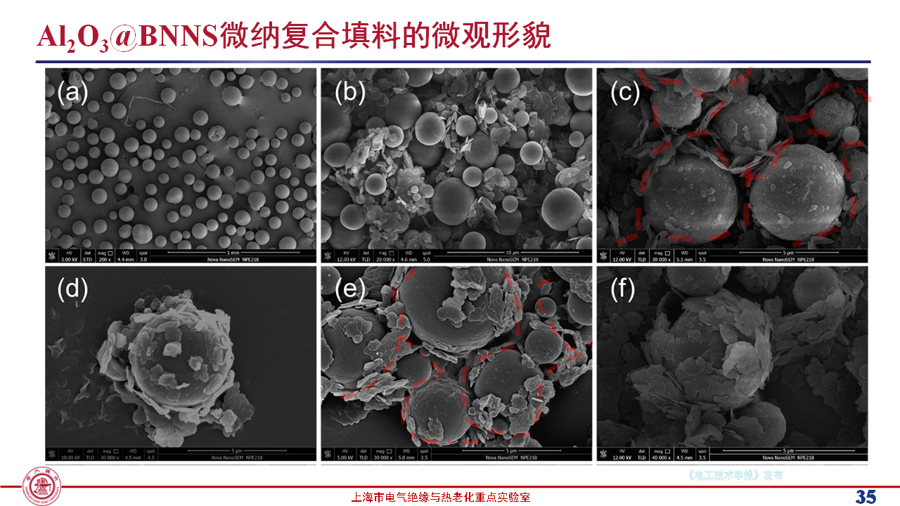 上海交通大學(xué)黃興溢教授：導(dǎo)熱絕緣復(fù)合電介質(zhì)中的界面設(shè)計與實證