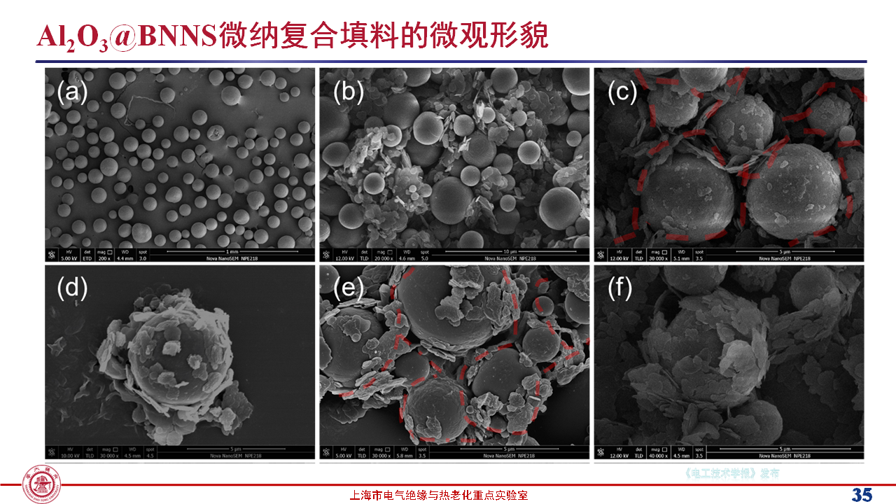 上海交通大學黃興溢教授：導熱絕緣復合電介質中的界面設計與實證