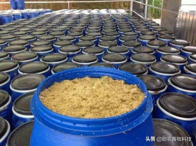 发酵饲料太酸动物不爱吃怎么办？优质发酵饲料的制作技术
