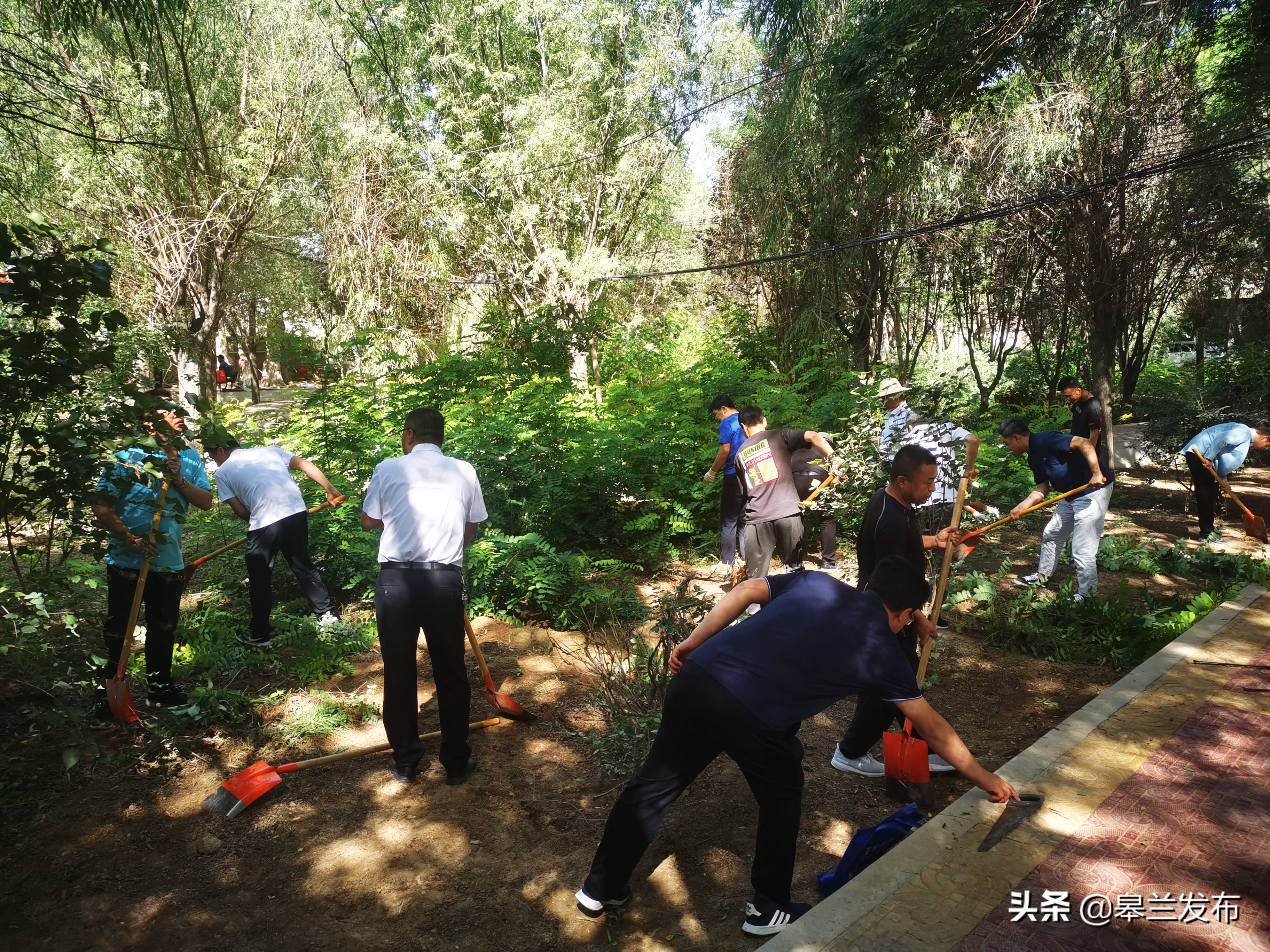 ���껪���绪��ï �ܽ�ʱ�����̲����ػ������������Զ�����ʽ��ף�й�����������100����