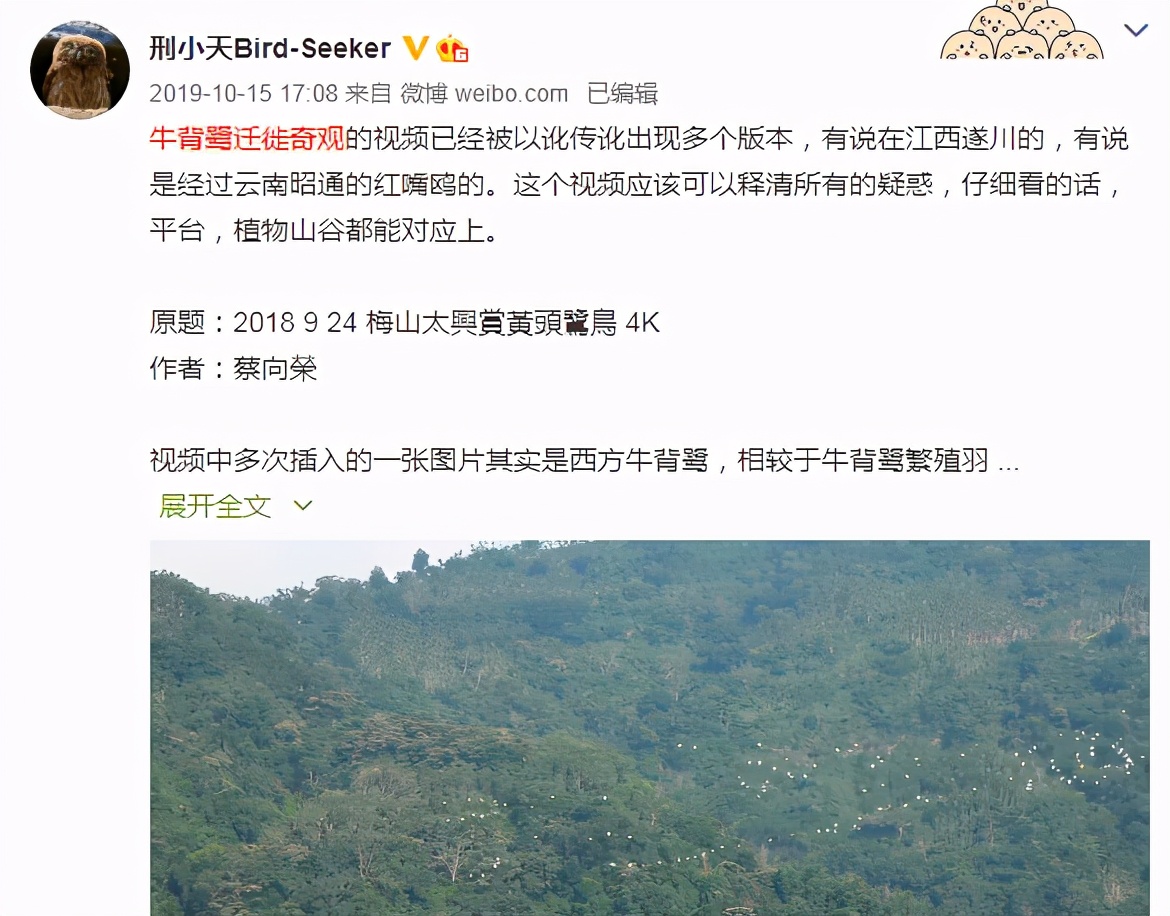 史上最长雁阵 秦岭千年鸟道上演震撼心灵的迁徙？网传视频不在秦岭