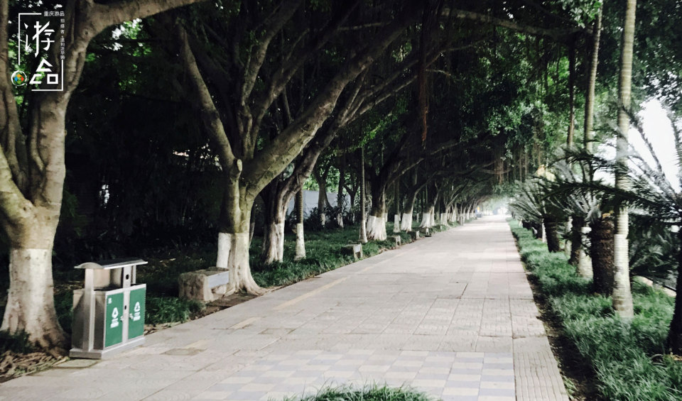 菜园坝有一座公园，曾见证无数重庆人结为夫妻，现在却臭气弥漫