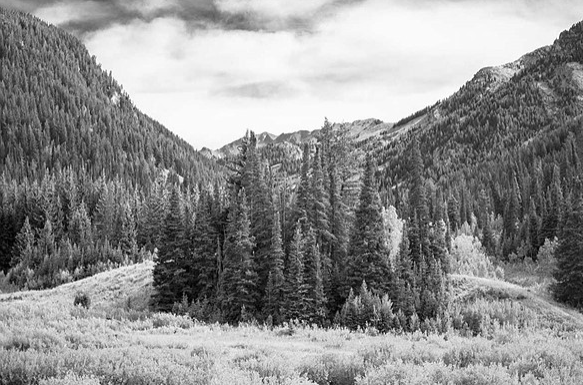 VSCO滤镜模式重现红外摄影