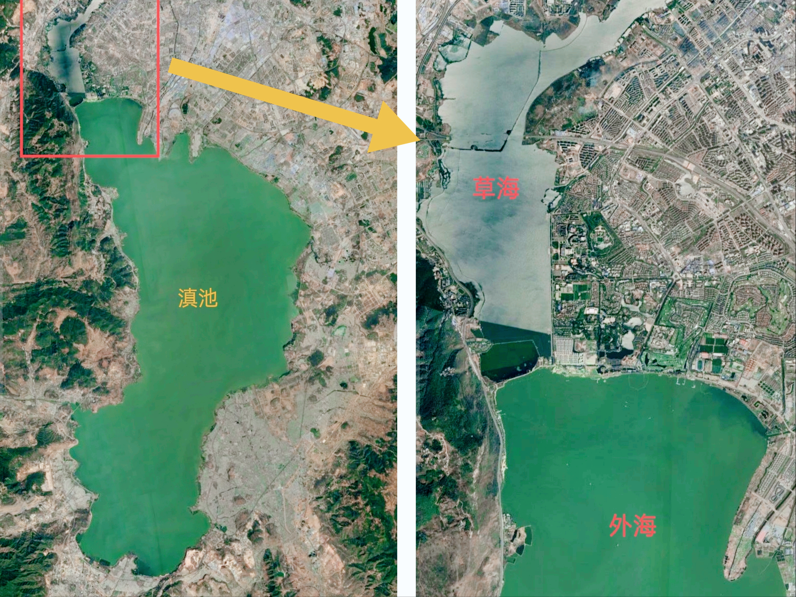 滇池的危機(jī)：30年水質(zhì)惡化，一度淪為“臭水湖”？