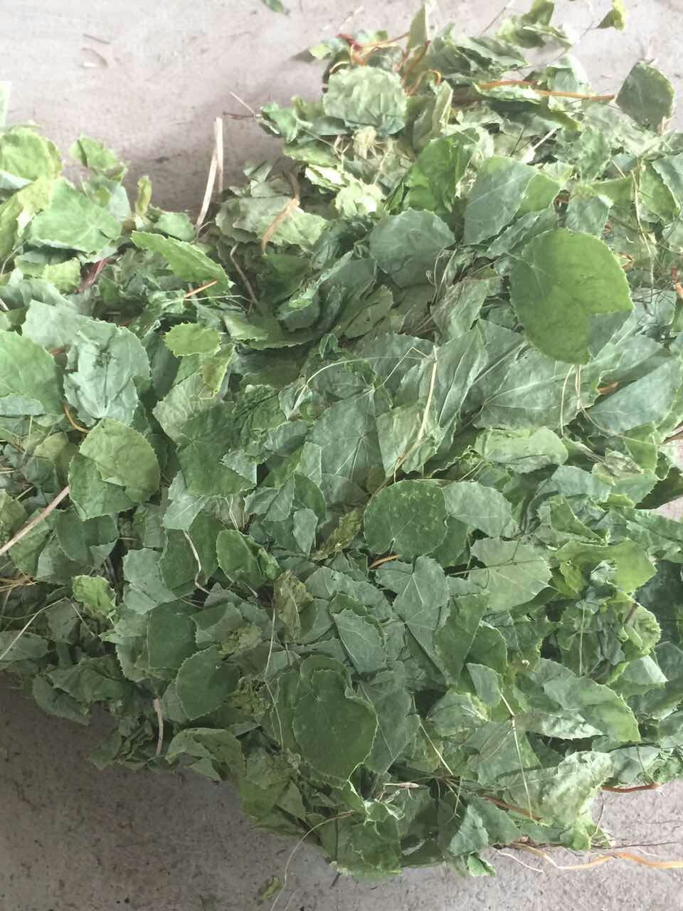 淫羊藿性温燥烈,在补肾壮阳方中加入起效快，效果显著