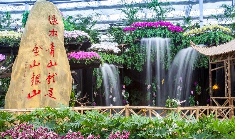 山东农业农村工作简报 | 兰陵县积极对接长三角 全力拓展乡村产业发展新空间