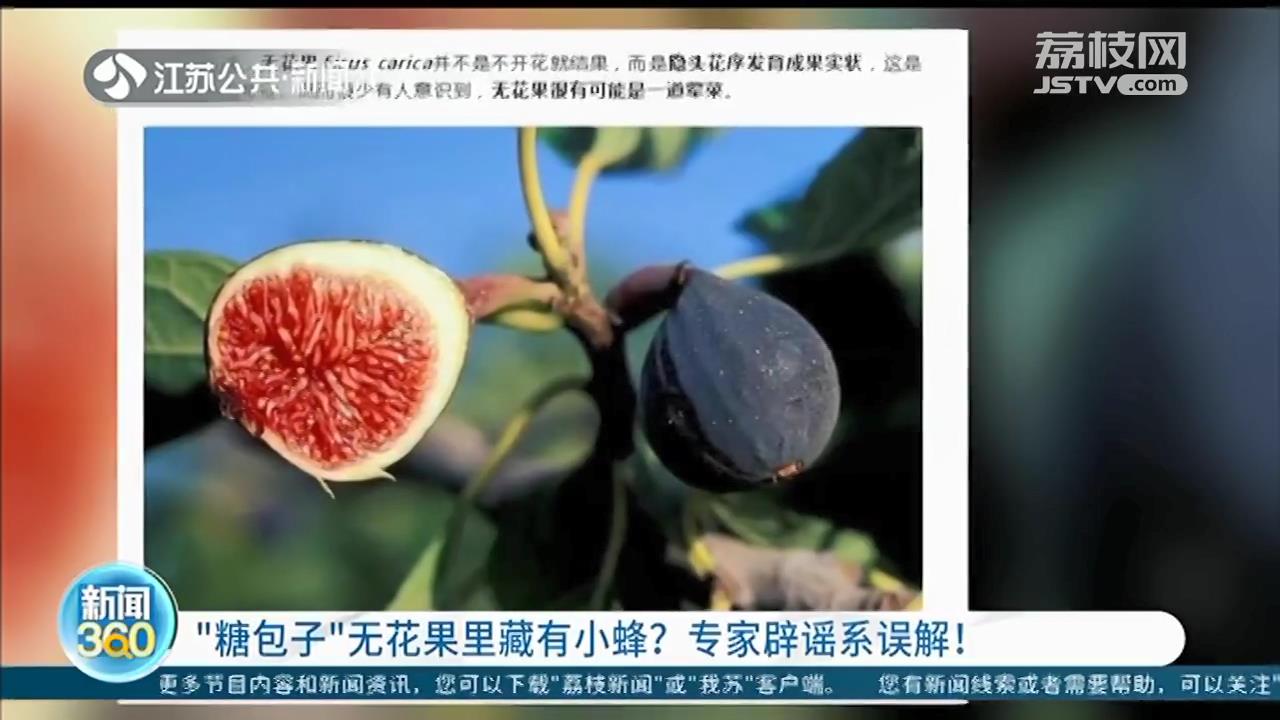 无花果里藏有小蜂？专家辟谣：国内品种不会有这种现象