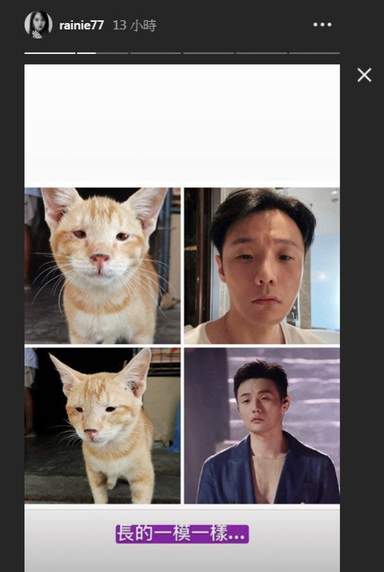 楊丞琳"黑"老公毫不手軟，調(diào)侃李榮浩與貓長(zhǎng)相相似，引網(wǎng)友狂笑