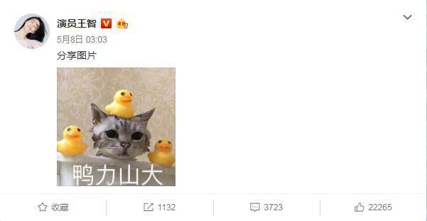 《乘风破浪的姐姐》谁值得pick？这位宝藏姐姐真