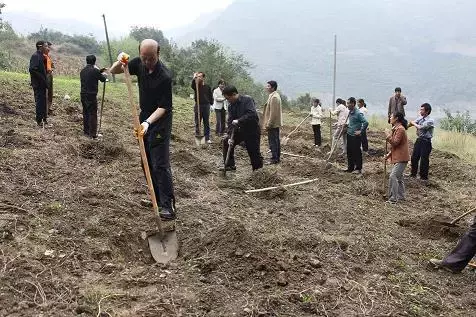 園林綠化施工技術(shù)大全,值得收藏!
