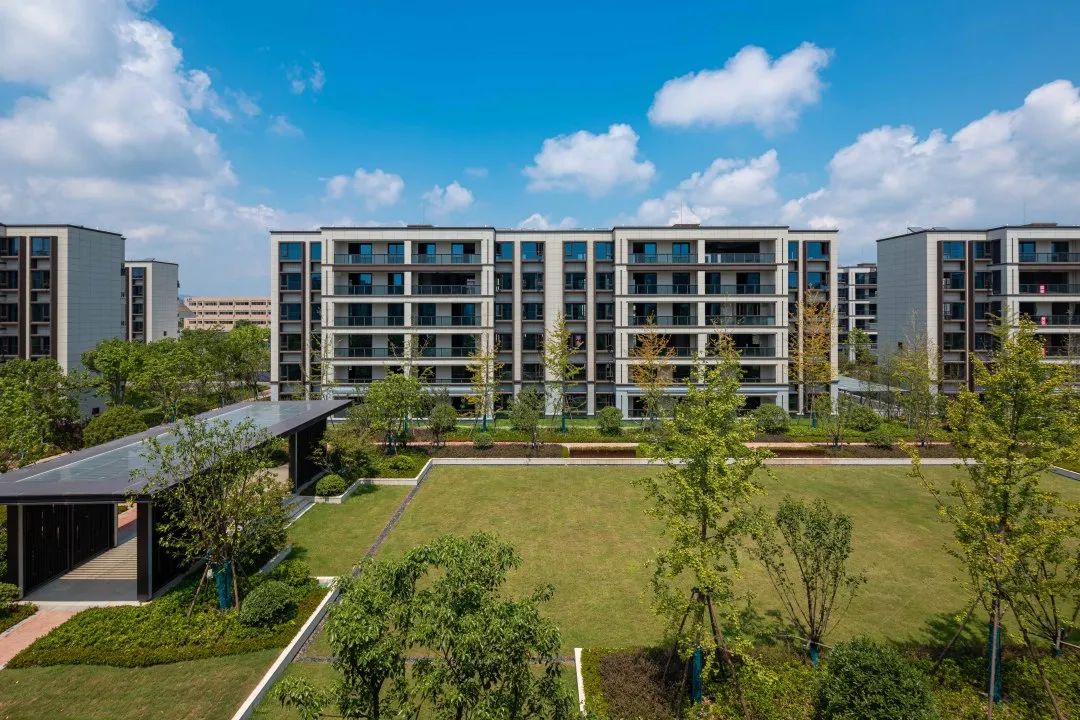 曾经播下的希望种子，此刻已枝繁叶茂