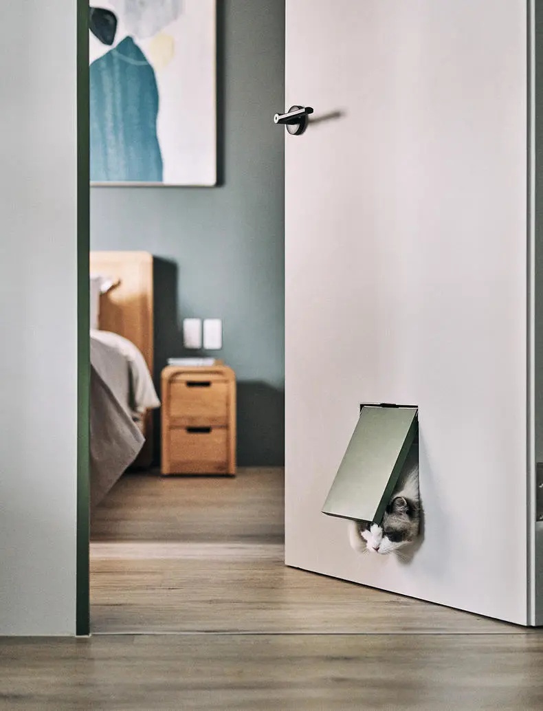 养宠家庭的“装修秘笈”┃ 东方一木科普