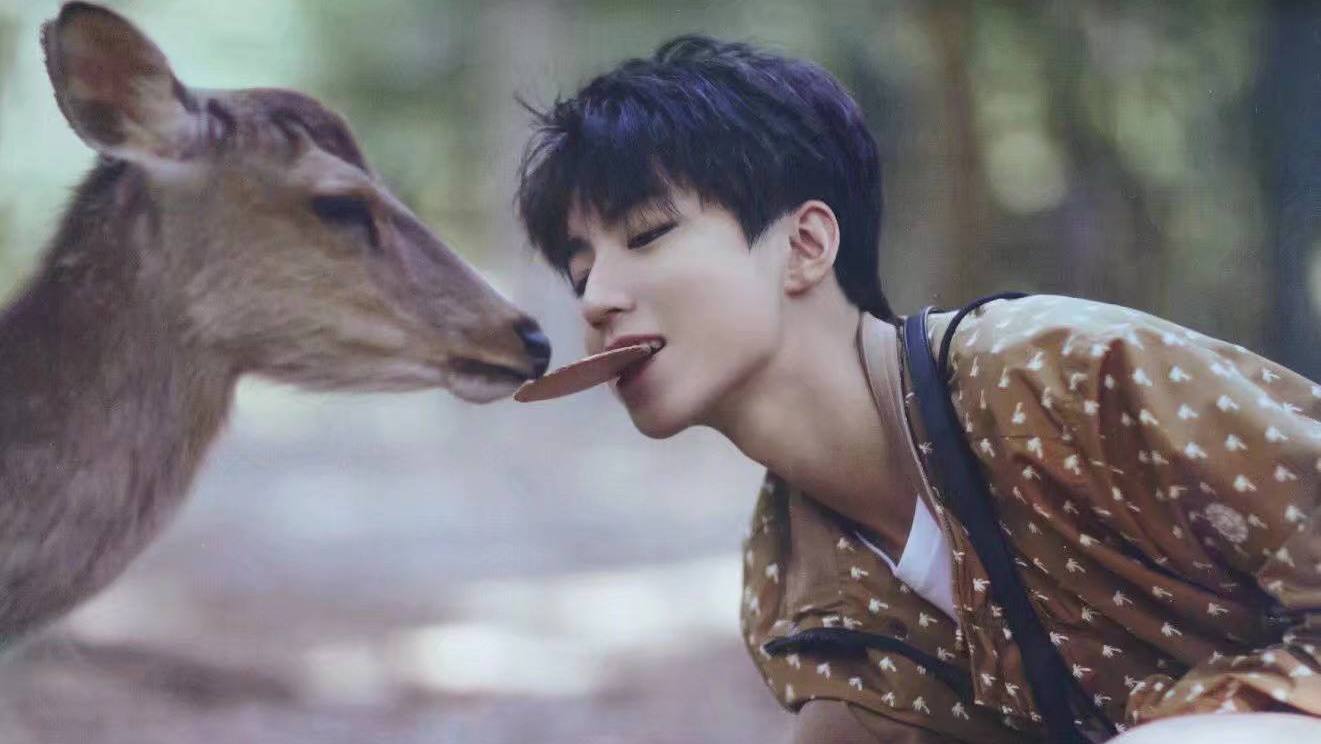 TFBOYS即将迎来七年之痒，三小只各自会向什么方