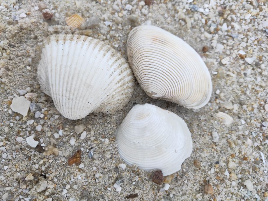 现在做自媒体到底晚不晚