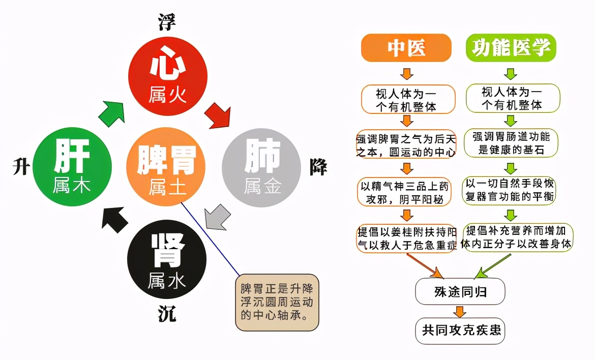 人为什么要看病？医学在进步、革命在发生，健康长寿还会远吗？