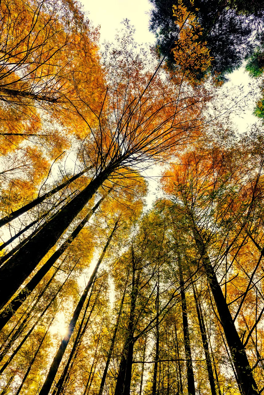 The most beautiful place to travel in November, no strategy and no money, which one do you want to go to?