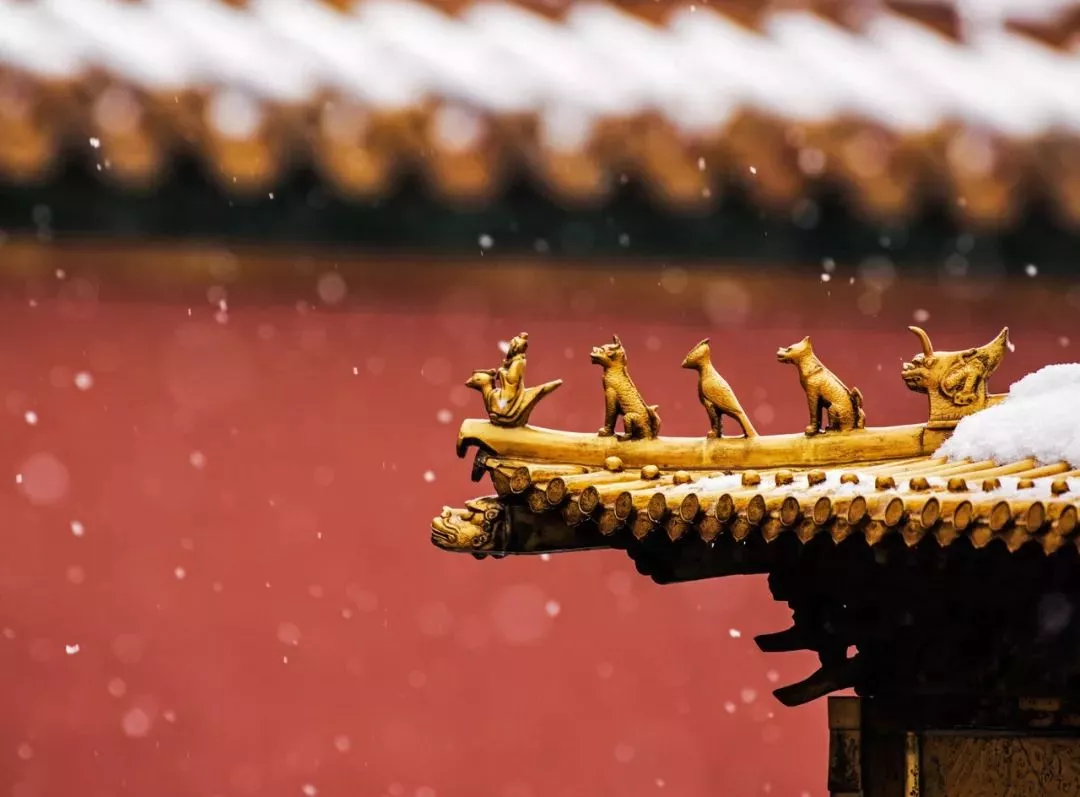 有一种美,叫雪后的中国