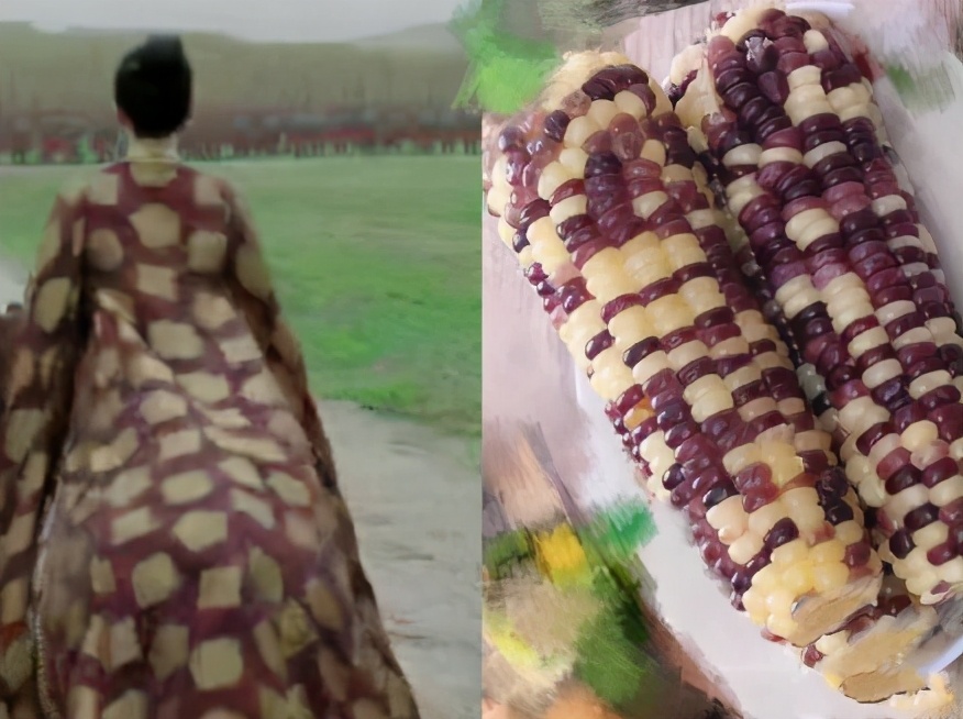 章子怡撞衫花玉米 看来阿妩在撞衫的路上是越走越远了|章子怡|撞衫-娱乐百科-川北在线