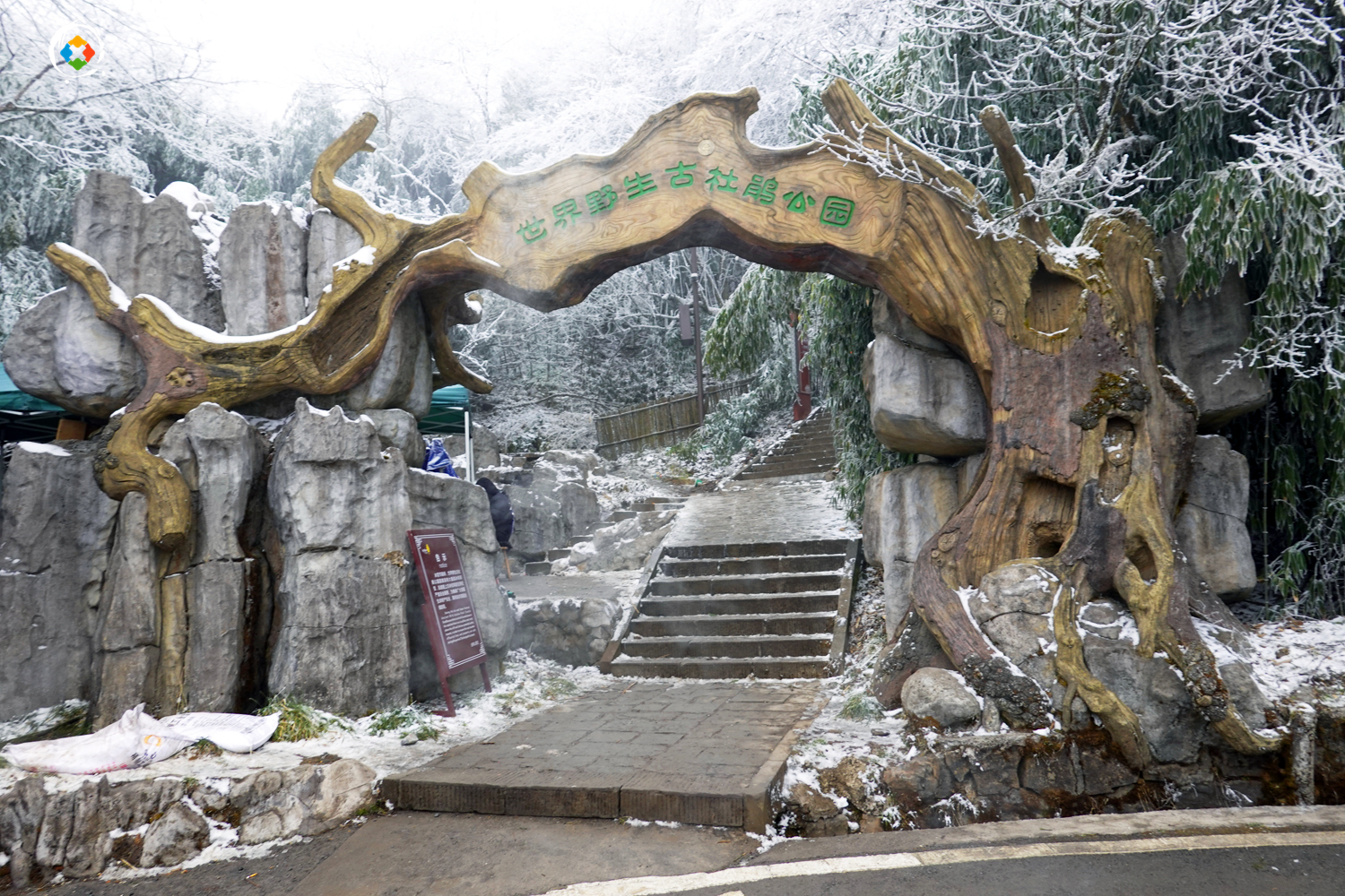 重庆金佛山冬日游：这个国家级5A景区，是不是真的徒有虚名？