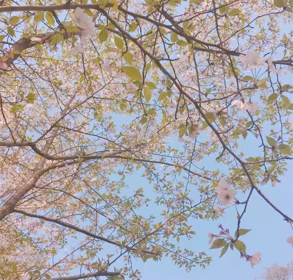 孩子鍾愛顏色背後的心理學：喜歡黃色最長情，喜歡黑色要注意了