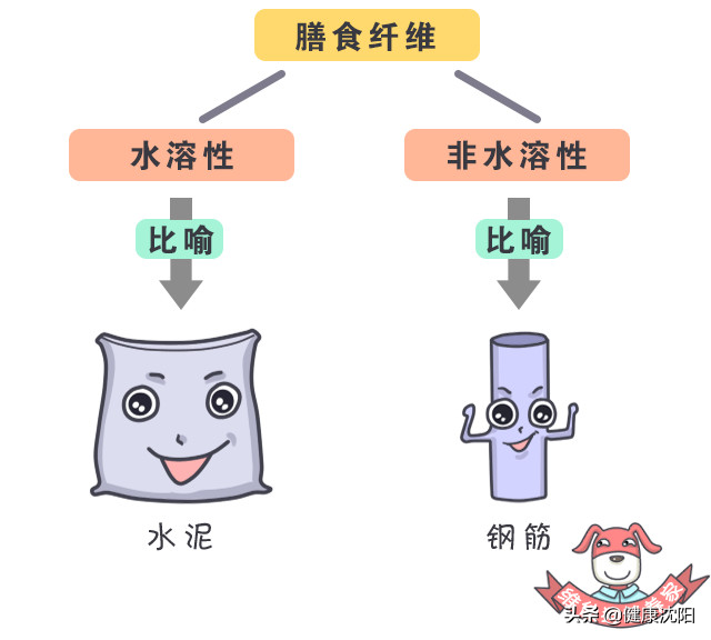 健康知识普及行动系列科普知识讲座之合理膳食篇