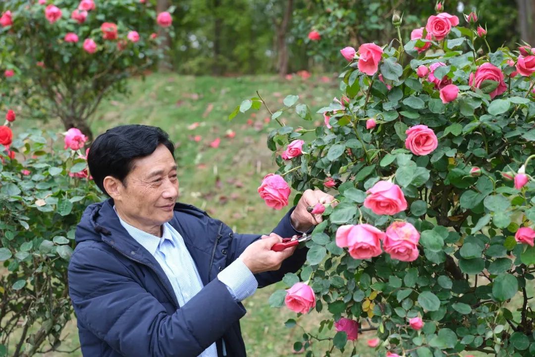 黄秀佳：发展美丽经济助力乡村振兴