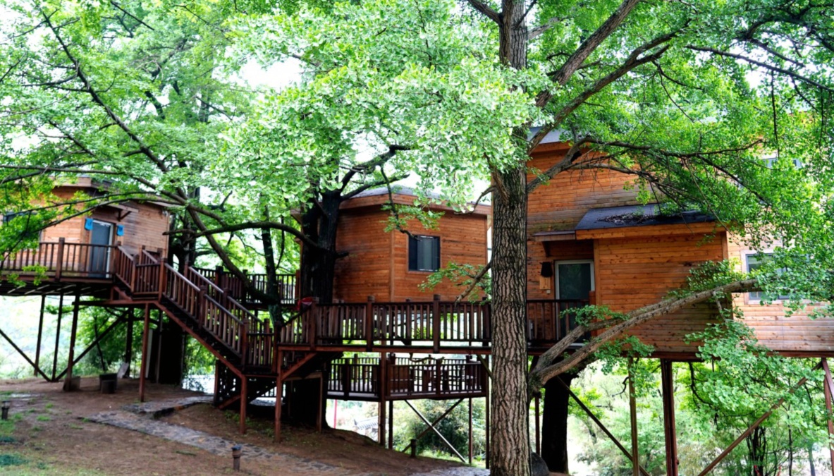 ˫壺ԡӣΪý δ˴ׯ