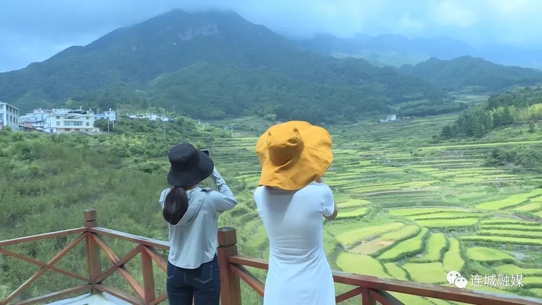 「全面推進鄉村振興」連城羅坊：千畝梯田美如畫 豐收在望谷滿倉