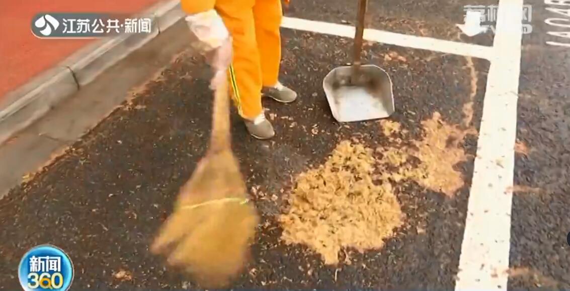 梧桐飘絮又来了！南京这样&ldquo;治&rdquo;