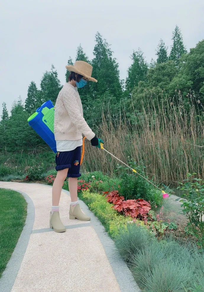 张馨予坦言收视率再高也不要再和热巴合作？给