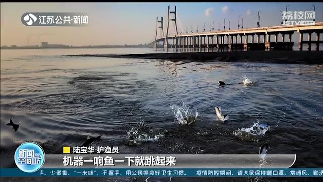 南通捕鱼人“变身”护渔员 乘风破浪守护长江