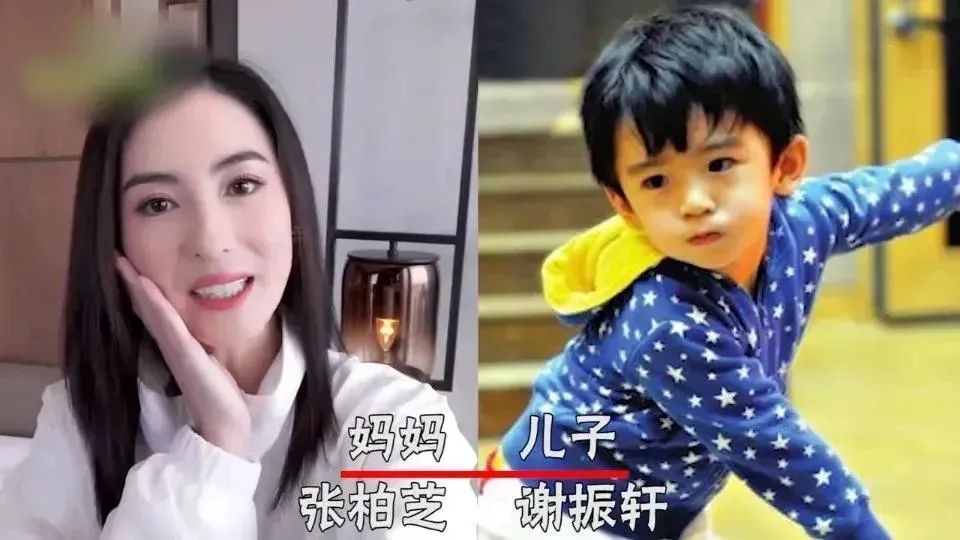 7位明星“曬兒子”，男孩像媽成定律？ 應采兒：我家是例外