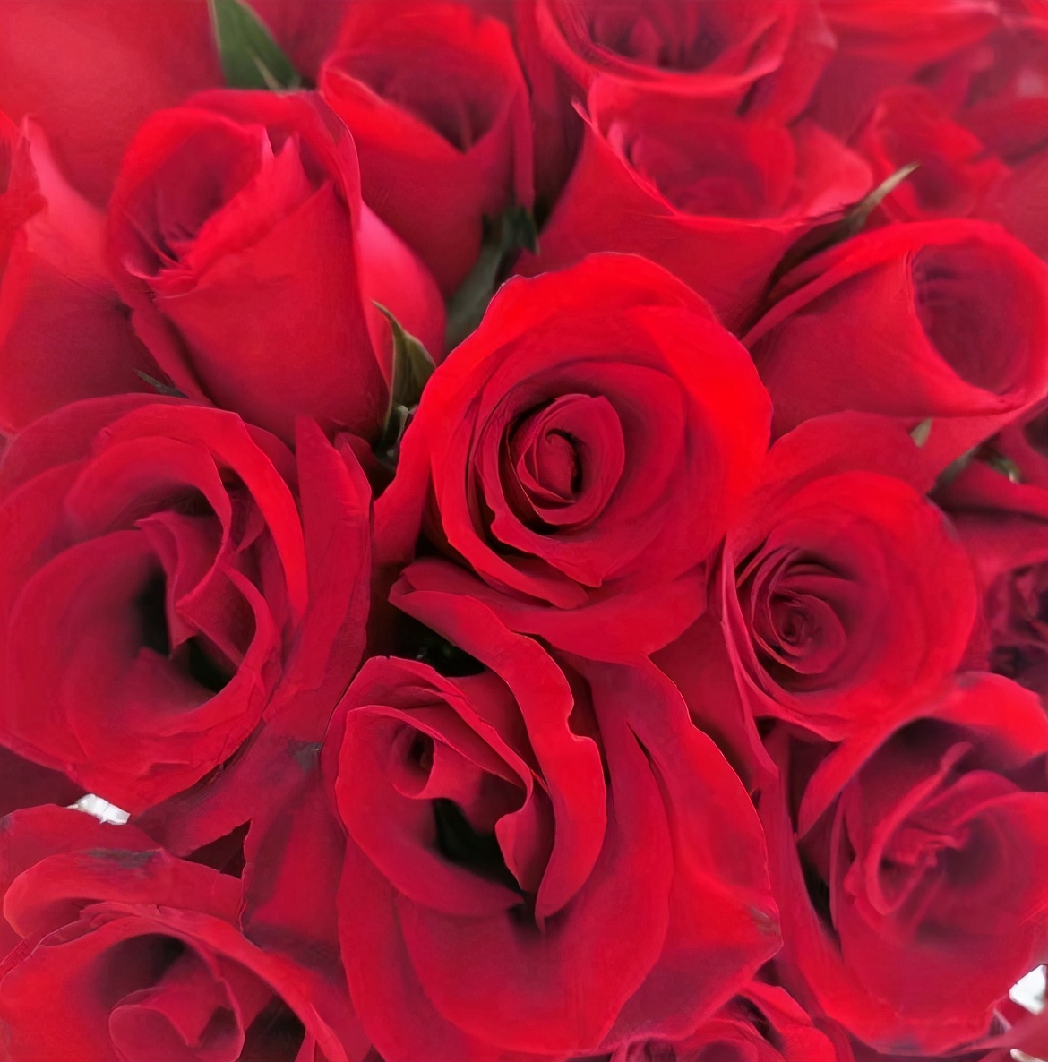 撒贝宁外国妻子晒亲吻照，穿露背紧身裙秀身材