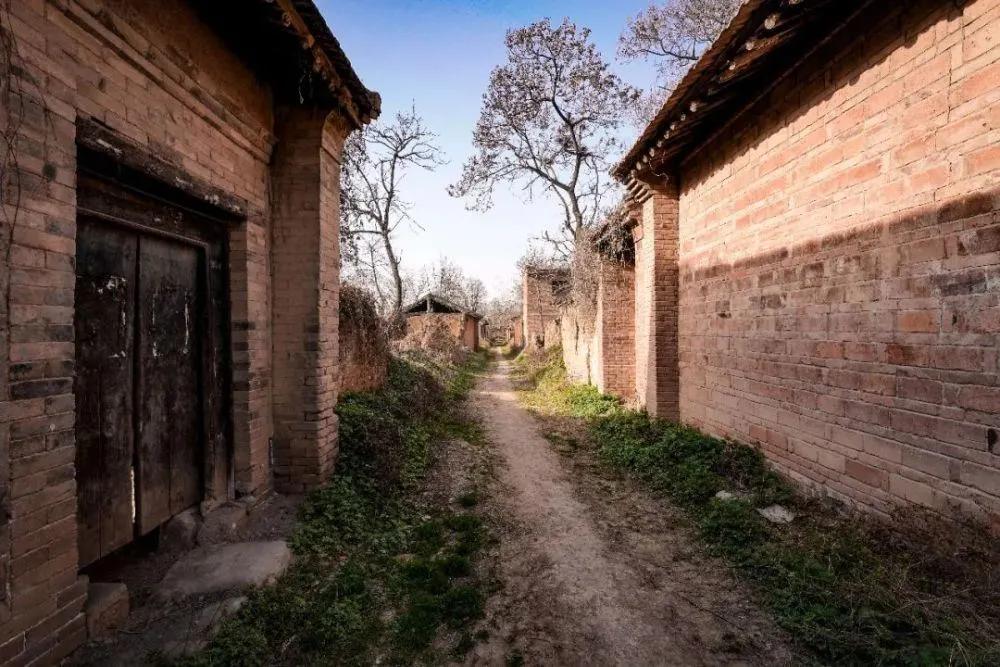 袁家村之后，陕西又出了一个全新标杆农文旅项目——唐村