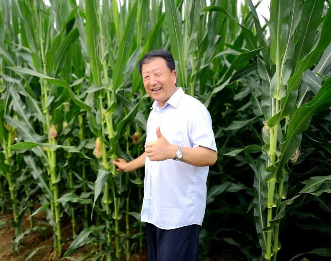 他与袁隆平并称“南袁北李”，杂交玉米让国人“吃好饭”