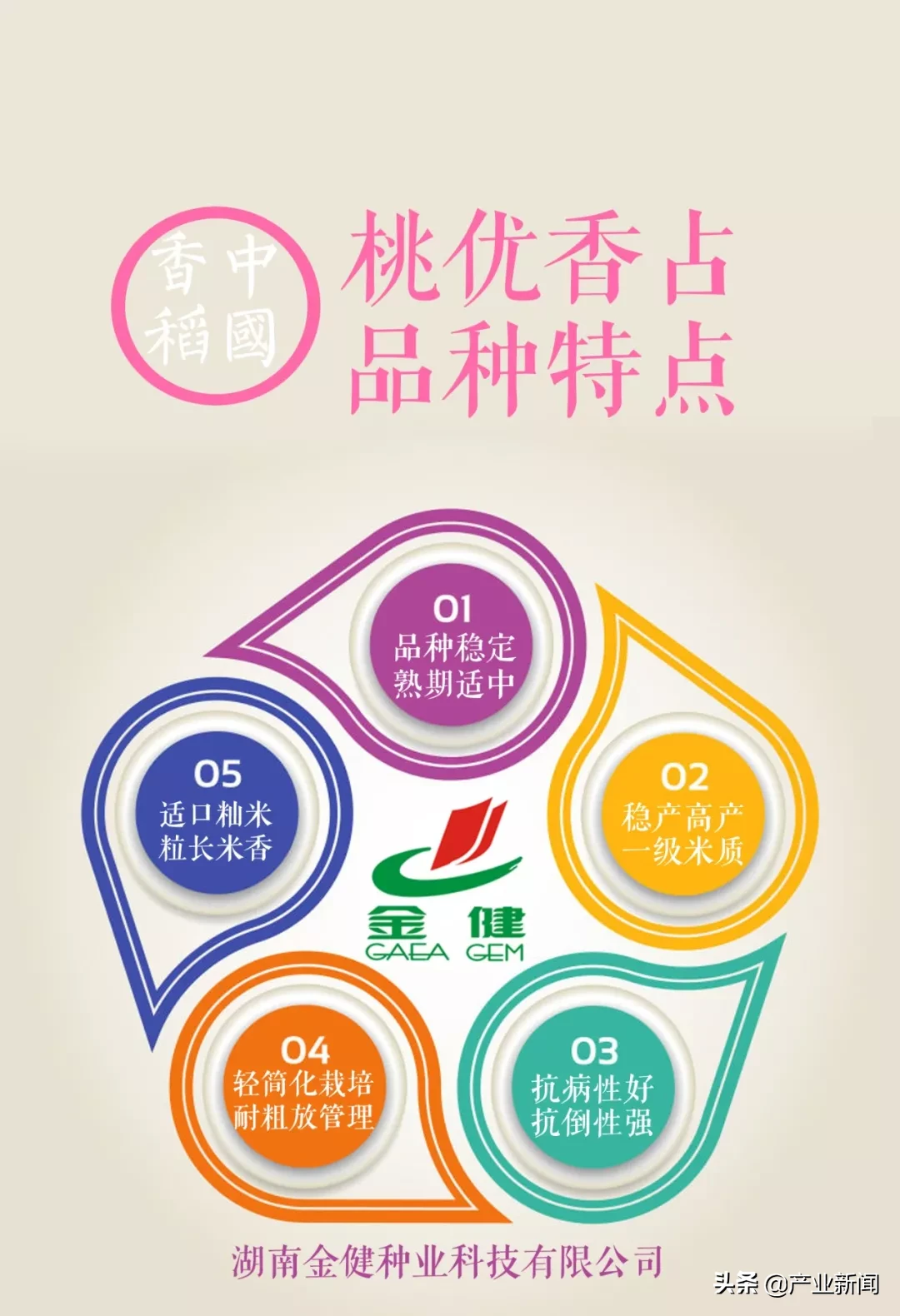 一张图读懂水稻品种的选择
