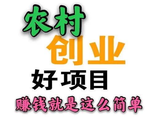 五个农村冷门赚钱项目，想赚钱的，不可错过，速来学