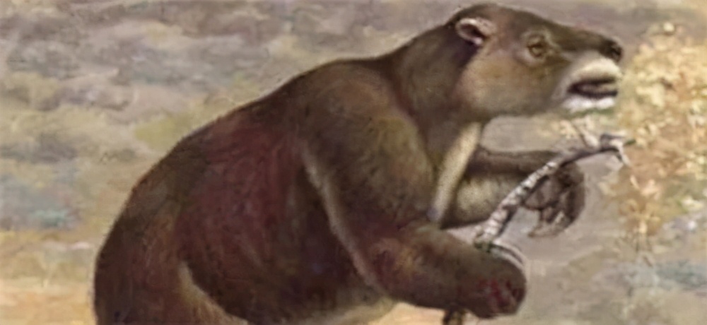 巴西发现一条一万三千年前的隧道，造型奇特，专家：修筑者不是人