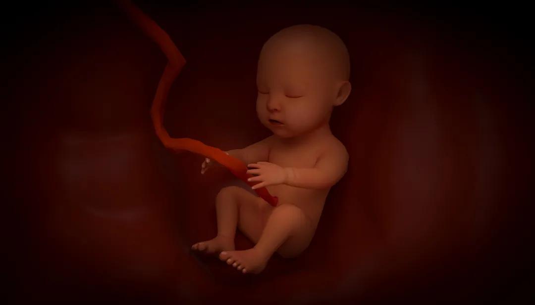 如何护理新生儿宝宝,看看有没有你不知道的?
