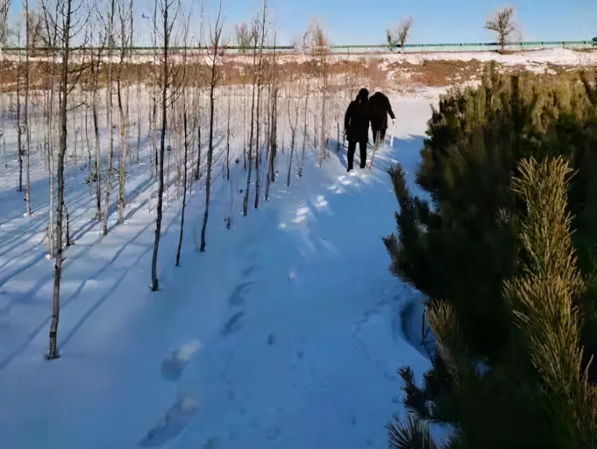 起底通辽“12·15”杀人案：嫌疑人荒野雪地逃窜3天，天罗地网中服药自缢