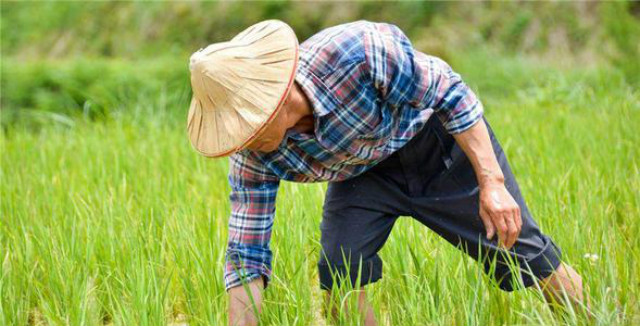 中国虚拟经济风生水起，日本为何不追潮流，执着于实体？