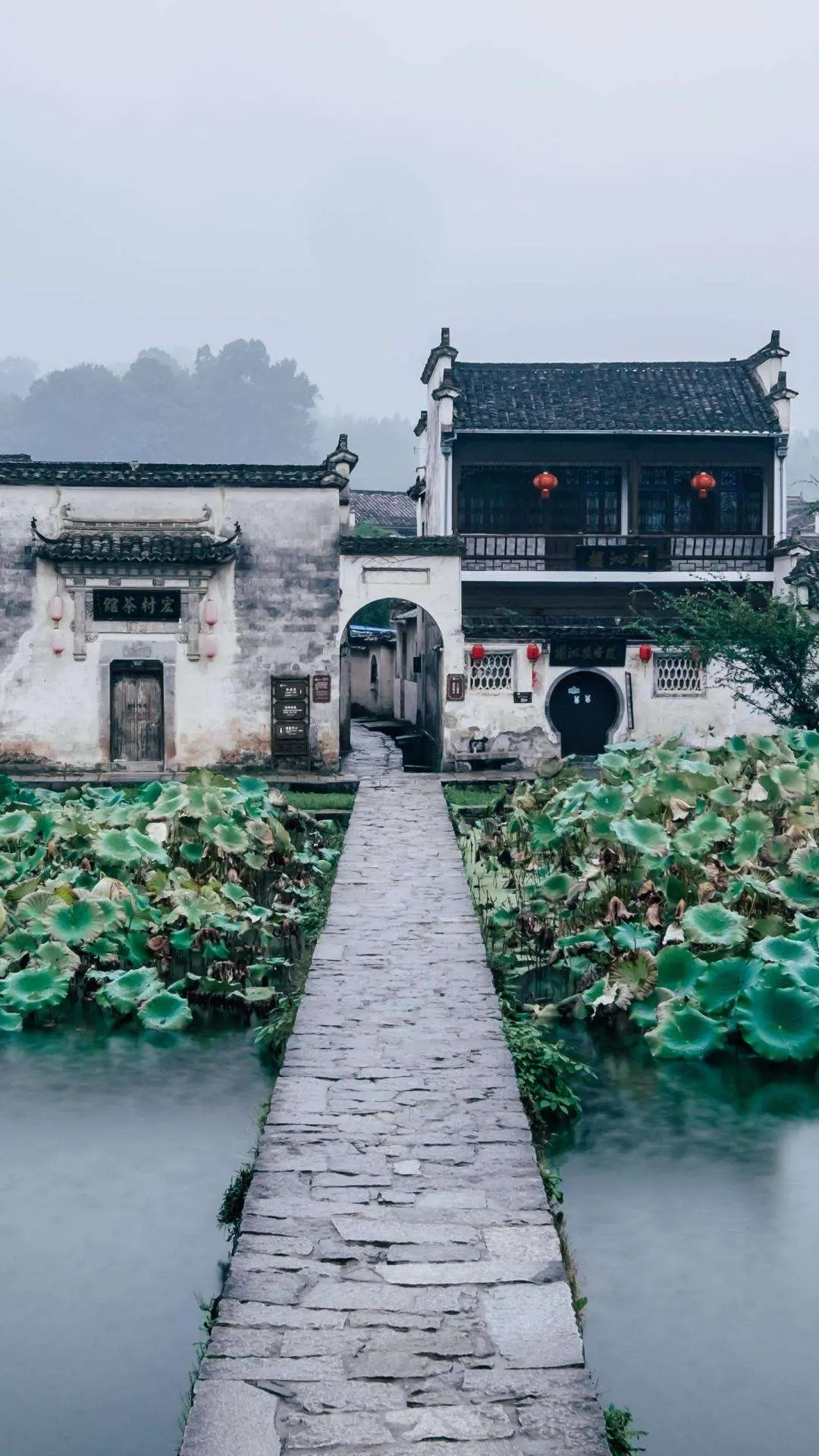 中国是否该对澳大利亚进行经济制裁呢？中国或