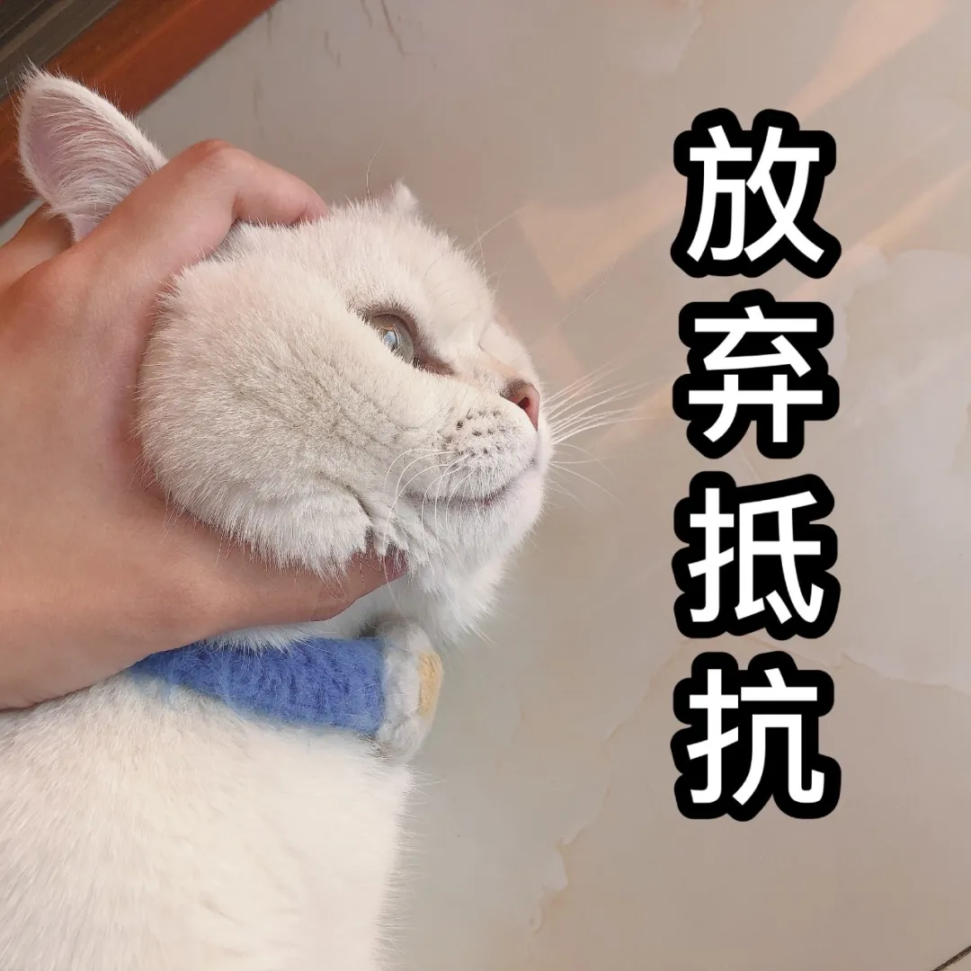 15℃！临沂大降温