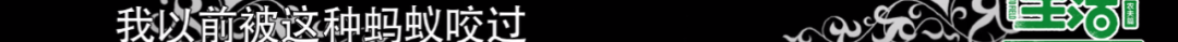陈赫拯救了综艺大型尴尬现场