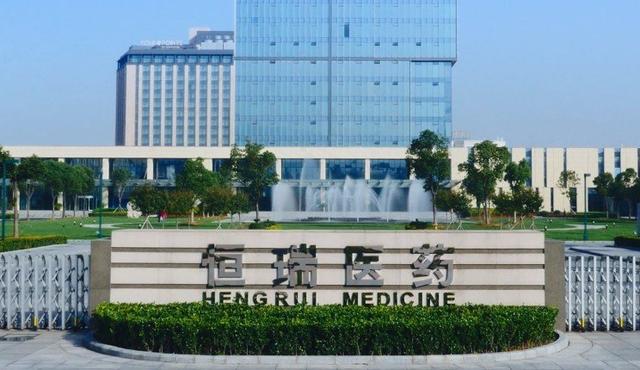 国内行业龙头之创新药龙头：恒瑞医药