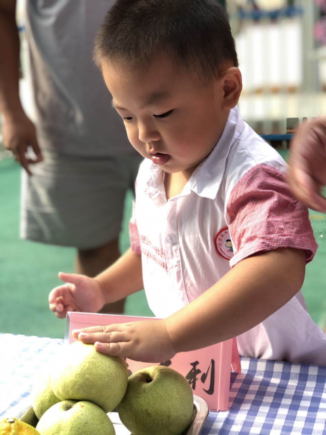 园外园小朋友开学第一周周报